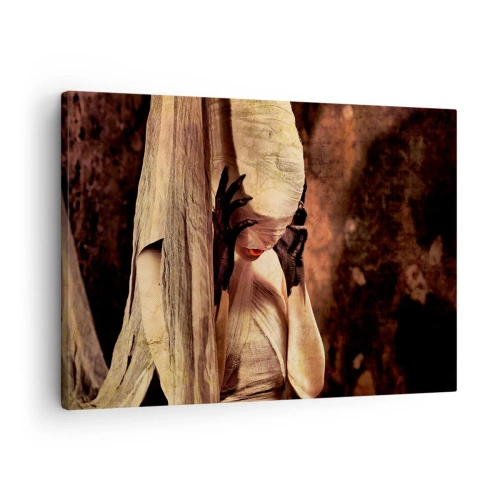 Cuadro sobre lienzo - Impresión de Imagen - Una mujer con velo y un estilo misterioso sobre un fondo oscuro. - 70x50cm - Entre el bien y el mal - Decoración de pared moderna para salón y dormitorio ARTTOR