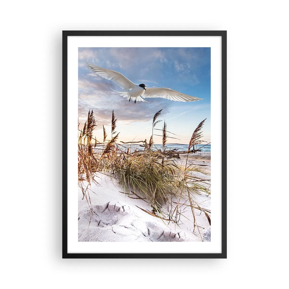 Póster en marco negro - Un pájaro en vuelo sobre las dunas y el mar al atardecer. - 50x70cm - Viento del mar - Decoración de pared moderna para salón y dormitorio ARTTOR