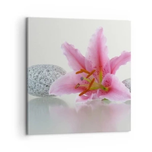 Cuadro sobre lienzo - Impresión de Imagen - Estudio en rosa, gris y blanco - 60x60 cm