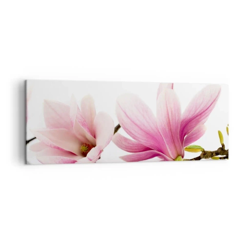 Cuadro sobre lienzo - Impresión de Imagen - Delicadas magnolias rosas sobre un fondo blanco. - 140x50cm - Suave como un soplo de primavera - Decoración de pared moderna para salón y dormitorio ARTTOR