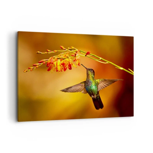 Cuadro sobre lienzo - Impresión de Imagen - Colibrí junto a una flor bajo la cálida luz - 120x80cm - Mensajero de la luz - Decoración de pared moderna para salón y dormitorio ARTTOR