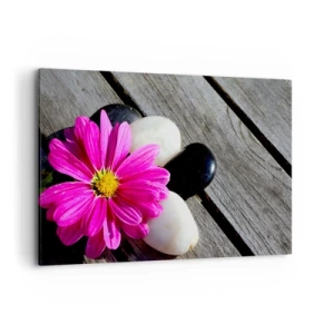Cuadro sobre lienzo - Impresión de Imagen - Flor rosa sobre un fondo de tablas de madera con piedras. - 120x80cm - Descansando en el muelle - Decoración de pared moderna para salón y dormitorio ARTTOR