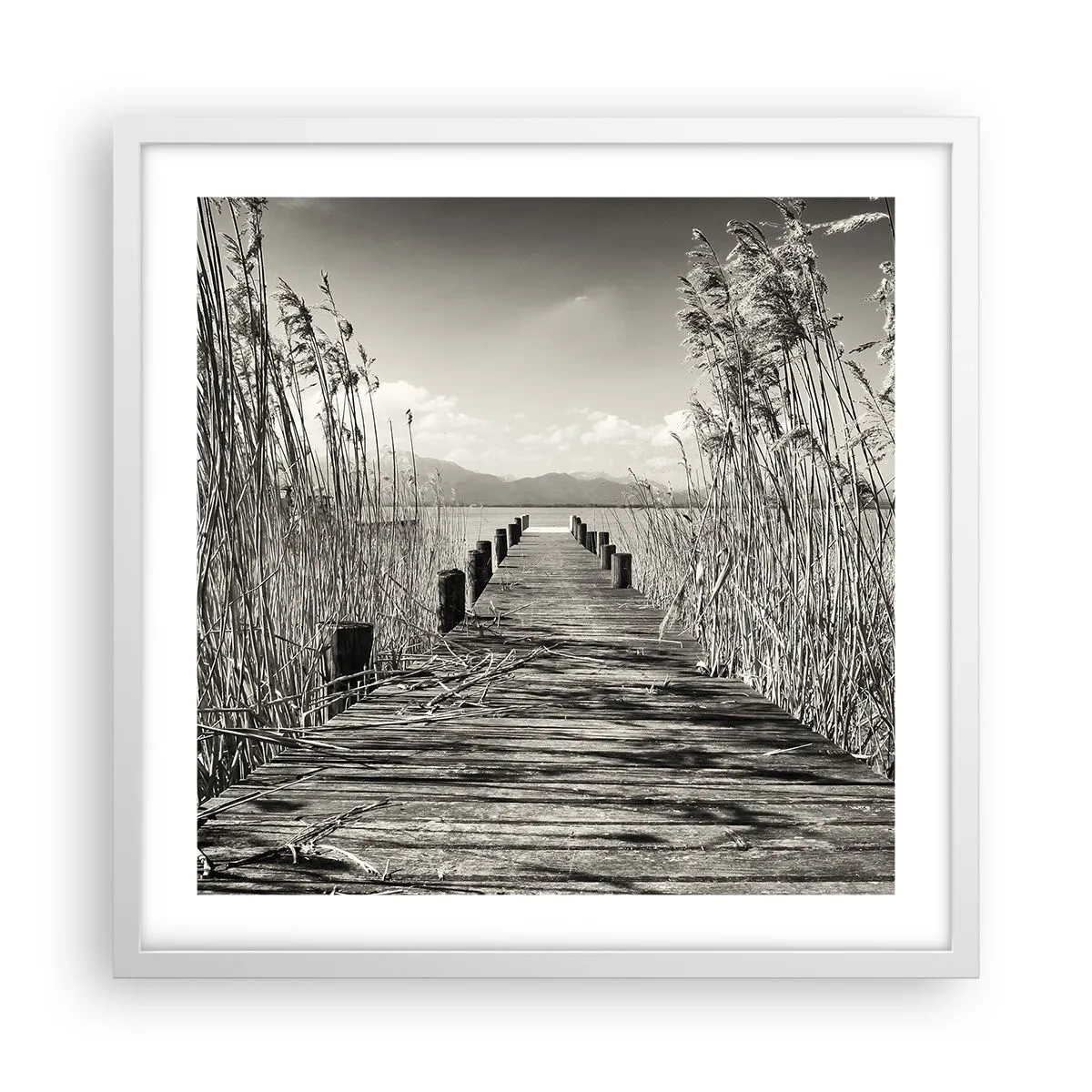 Póster en marco blanco - En la quietud de los juncos - 50x50 cm
