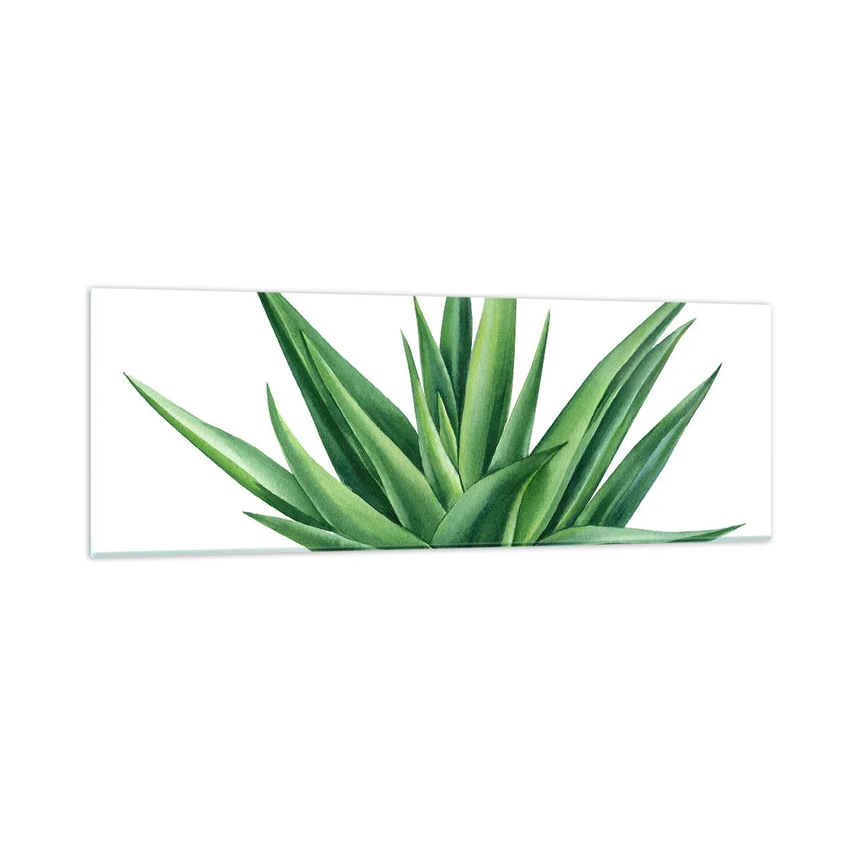 Cuadro sobre vidrio - Impresiones sobre Vidrio - Verde - fuerza - vida - 90x30 cm