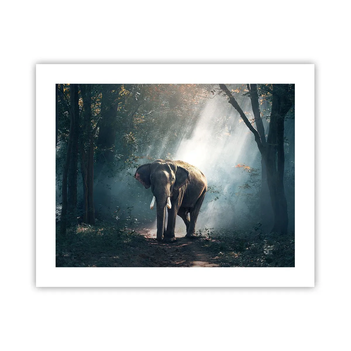 Póster - Un paseo tranquilo - 50x40 cm