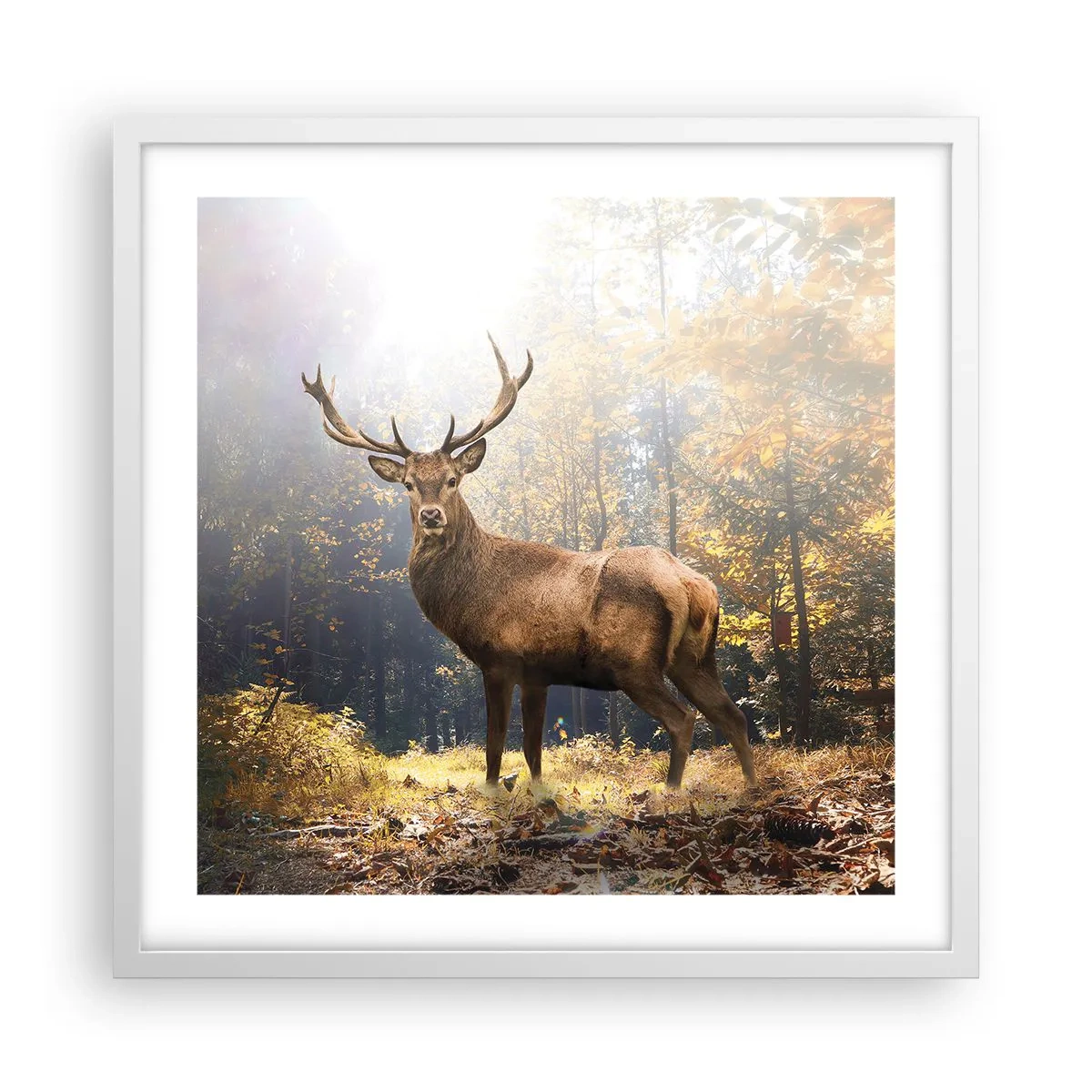 Póster en marco blanco - Con toda la majestuosidad - 50x50 cm