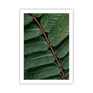 Póster - Hojas con gotas de agua creando una composición armoniosa. - 50x70cm - En un ritmo verde - Decoración de pared moderna para salón y dormitorio ARTTOR