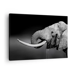 Cuadro sobre lienzo - Impresión de Imagen - Retrato en blanco y negro de un elefante de perfil. - 70x50cm - Majestuoso - Decoración de pared moderna para salón y dormitorio ARTTOR