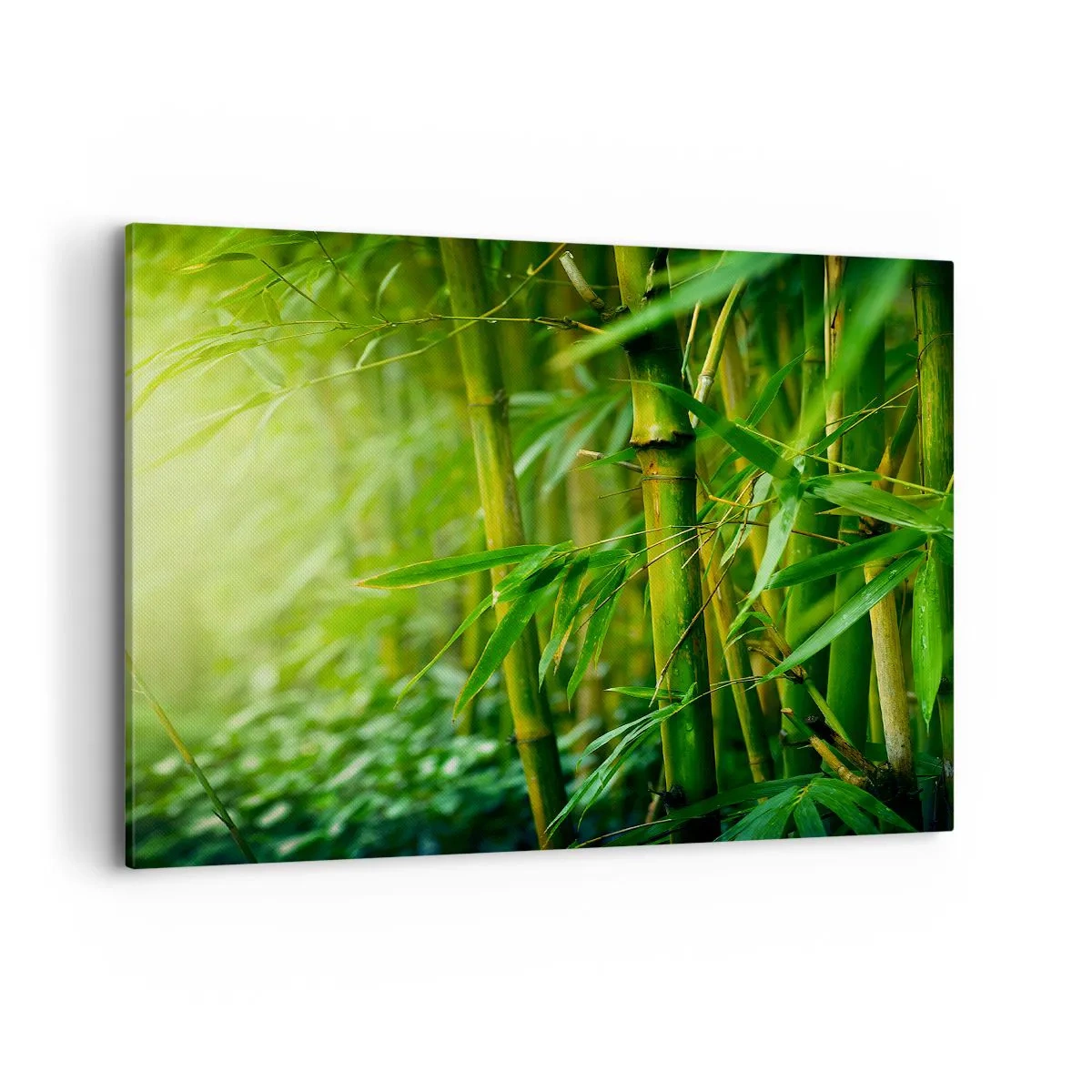 Cuadro sobre lienzo - Impresión de Imagen - Bosque de bambú verde bajo una luz suave - 100x70cm - Conocer el propio verdor - Decoración de pared moderna para salón y dormitorio ARTTOR