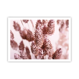 Póster - Un primer plano de las delicadas espigas rosadas de las hierbas ornamentales. - 100x70cm - Aparentemente discreto - Decoración de pared moderna para salón y dormitorio ARTTOR