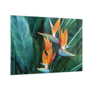Cuadro sobre vidrio - Impresiones sobre Vidrio - Flores exóticas de strelitzia entre grandes hojas verdes. - 100x70cm - ¿Es una flor o es un pájaro? - Decoración de pared moderna para salón y dormitorio ARTTOR