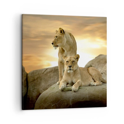 Cuadro sobre lienzo - Impresión de Imagen - Majestuosidad real - 50x50 cm