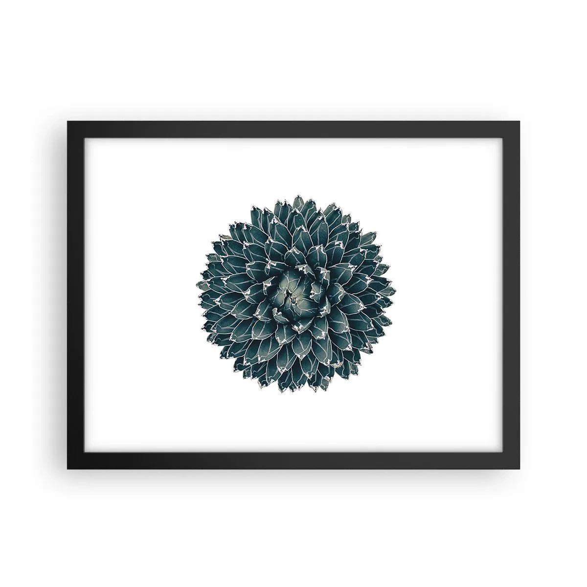 Póster en marco negro - Estrella del desierto - 40x30 cm