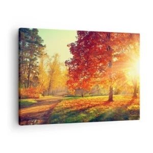 Cuadro sobre lienzo - Impresión de Imagen - Parque otoñal iluminado por la luz del sol - 70x50cm - El rojo es hermoso - Decoración de pared moderna para salón y dormitorio ARTTOR