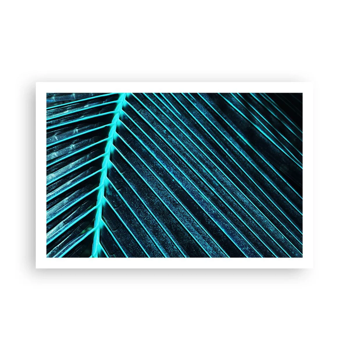 Póster - La textura del verde - 91x61 cm