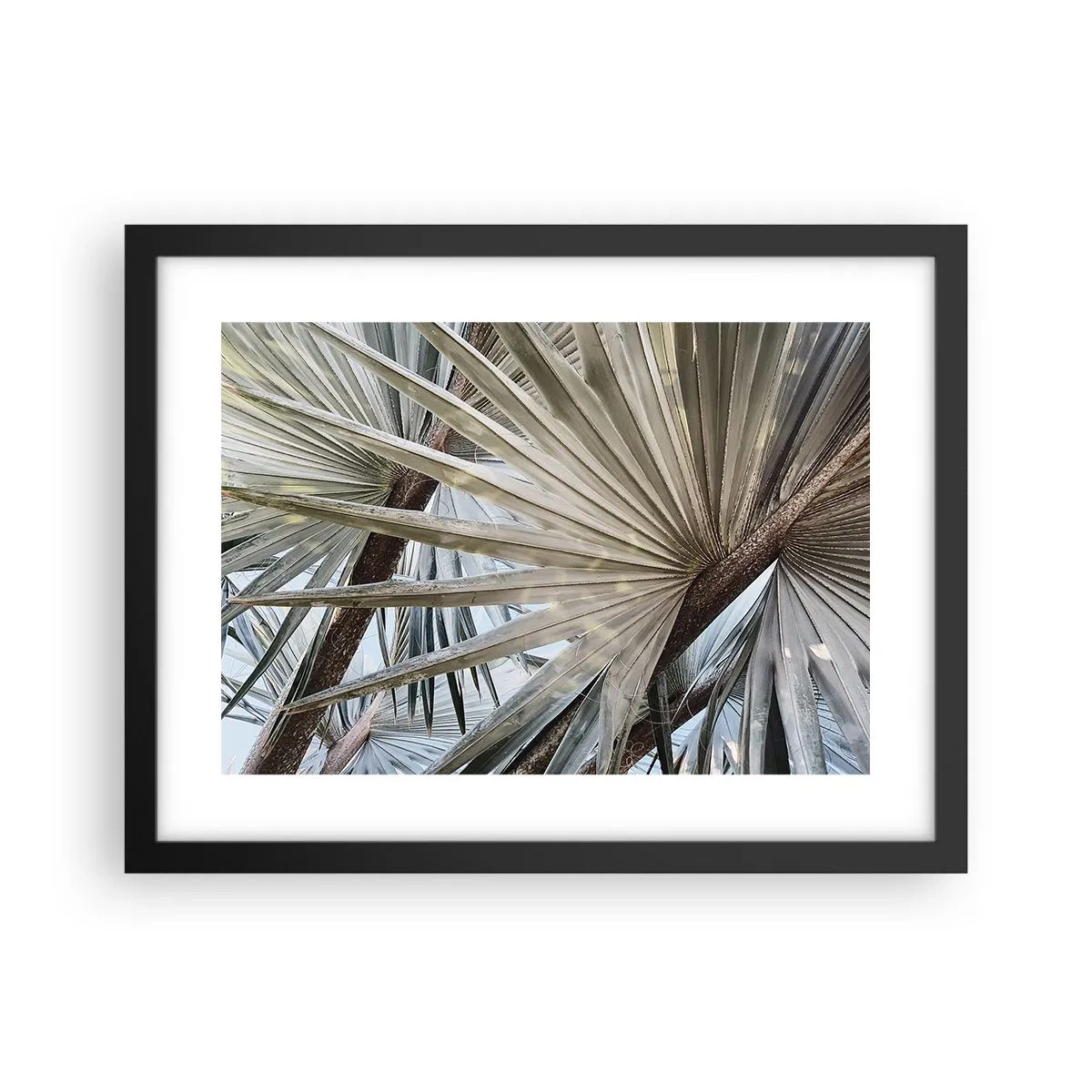 Póster en marco negro - Abanicos en el trópico - 40x30 cm