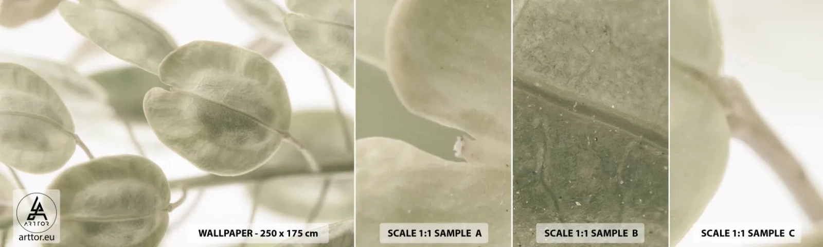 Muestra De Fotomural Standard Eco - Al principio de los tiempos había hojas... - flores, Calma, Hojas - 100x30 cm