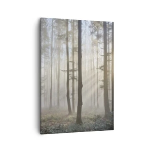 Cuadro sobre lienzo - Impresión de Imagen - Un bosque en medio de una ligera niebla con rayos de sol brillando a través de los árboles. - 50x70cm - La niebla también está despierta - Decoración de pared moderna para salón y dormitorio ARTTOR