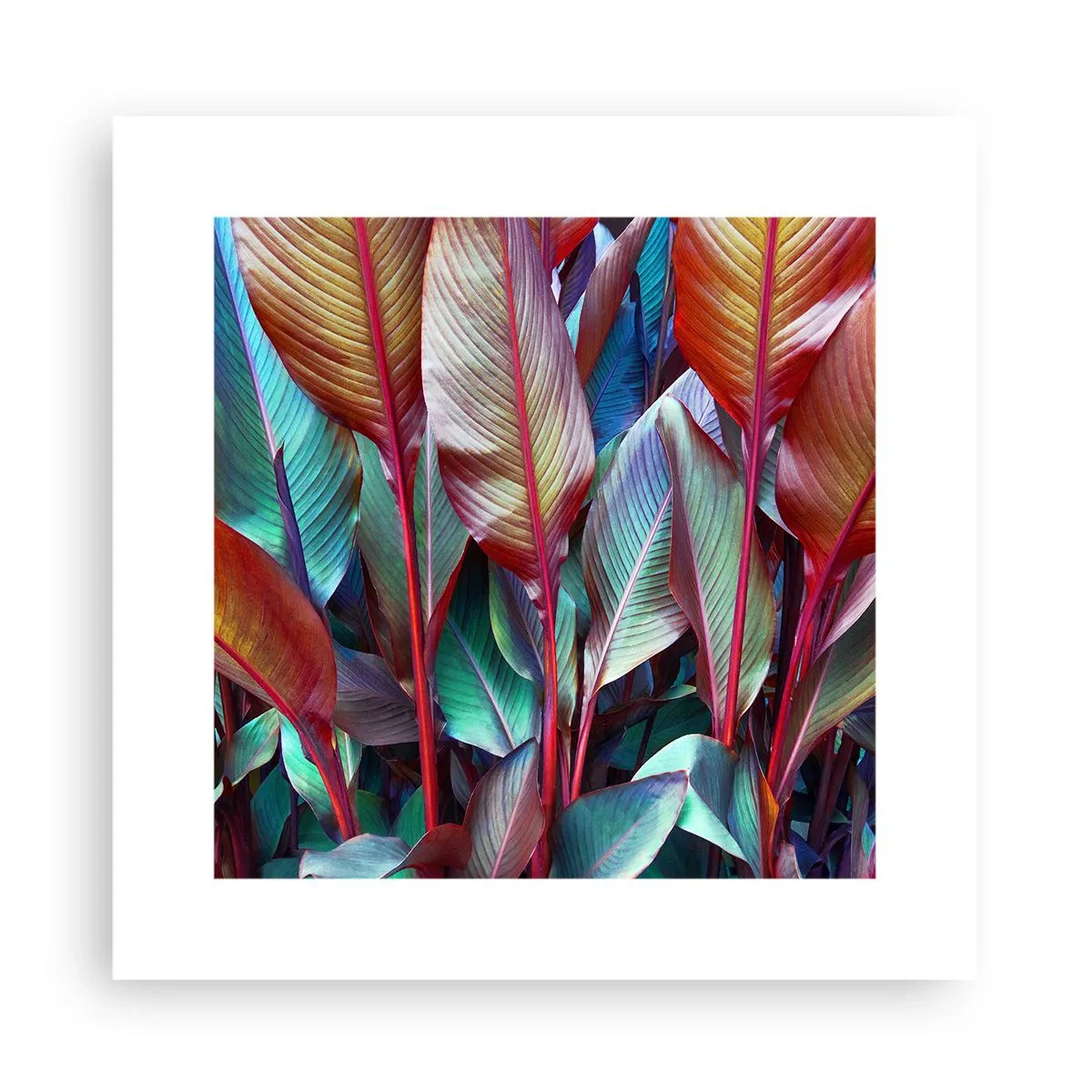 Póster - Un matorral de colores - 30x30 cm