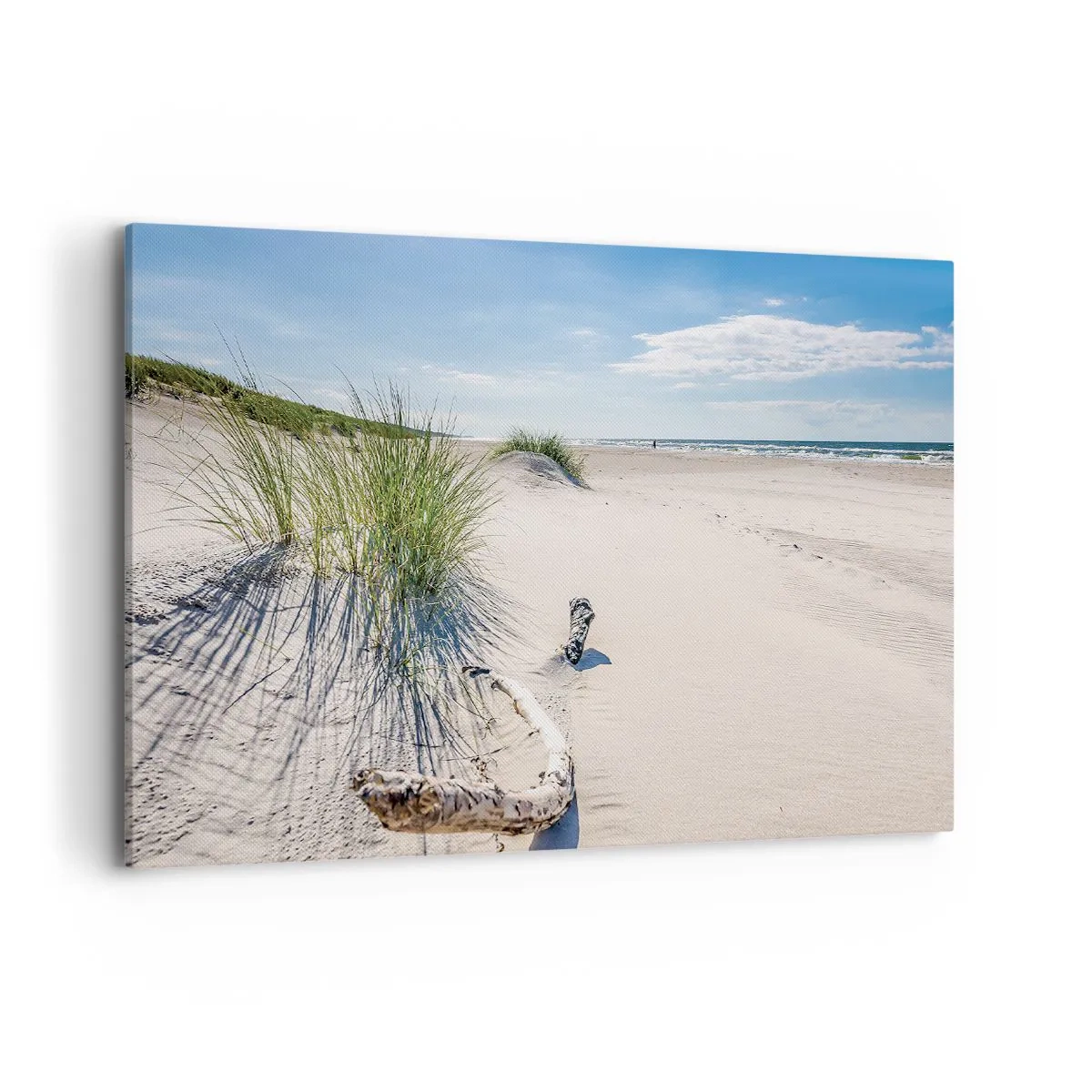 Cuadro sobre lienzo - Impresión de Imagen - Una playa báltica con arena, césped y un cielo azul tranquilo. - 120x80cm - ¿La más bella? Báltico - Decoración de pared moderna para salón y dormitorio ARTTOR