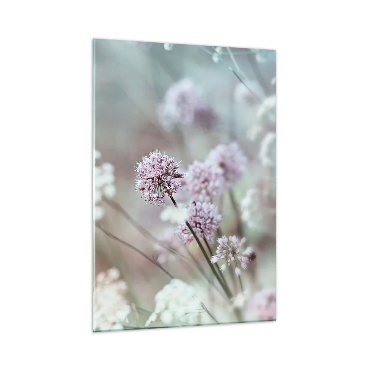 Cuadro sobre vidrio - Impresiones sobre Vidrio - Delicadas flores silvestres en tonos pastel. - 50x70cm - Dulces filigranas de hierbas - Decoración de pared moderna para salón y dormitorio ARTTOR