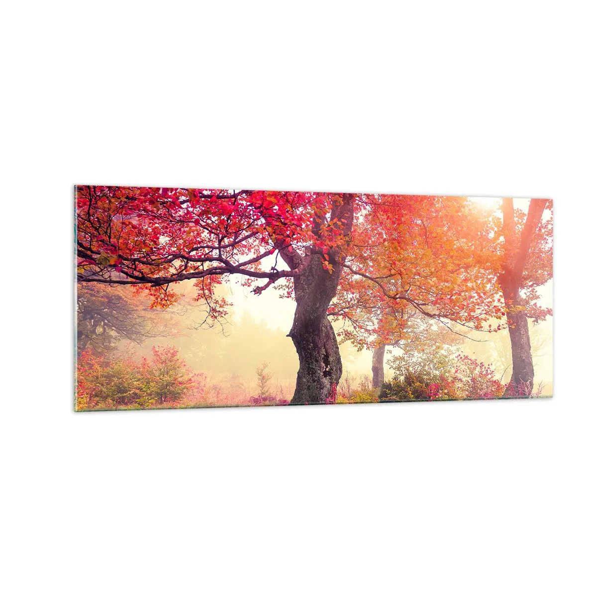 Cuadro sobre vidrio - Impresiones sobre Vidrio - Un frenesí de floración - 100x40 cm