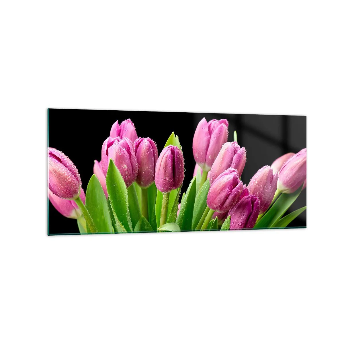 Cuadro sobre vidrio - Impresiones sobre Vidrio - Tulipanes rosados con gotas de rocío sobre un fondo negro - 120x50cm - La alegría de la primavera - Decoración de pared moderna para salón y dormitorio ARTTOR
