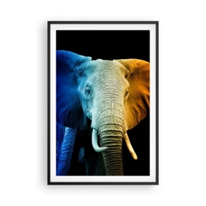 Póster en marco negro - Excéntrico, no un bicho raro - 61x91 cm