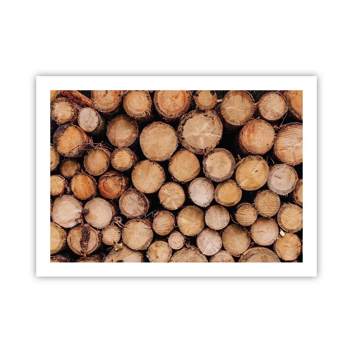 Póster - Un nuevo comienzo - 70x50 cm