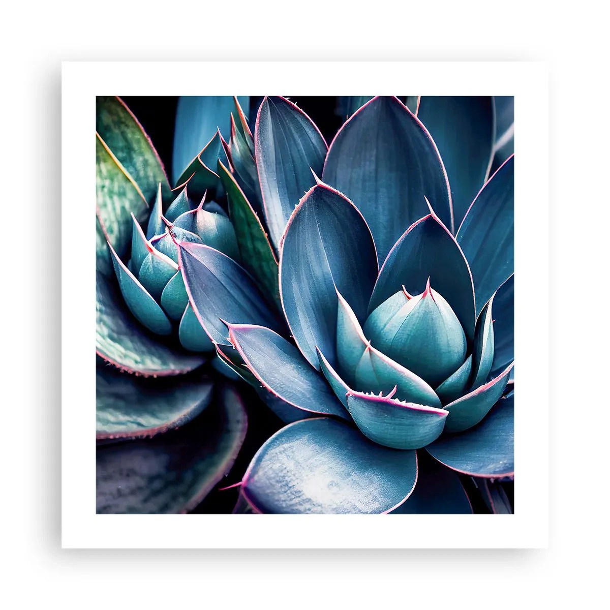 Póster - Fuerza vital - 50x50 cm