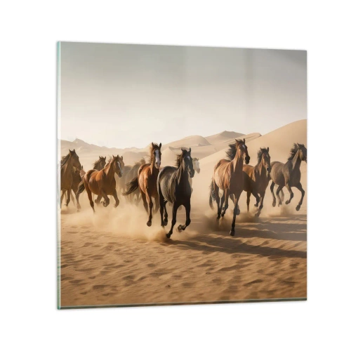 Cuadro sobre vidrio - Impresiones sobre Vidrio - Libre como el viento - 70x70 cm