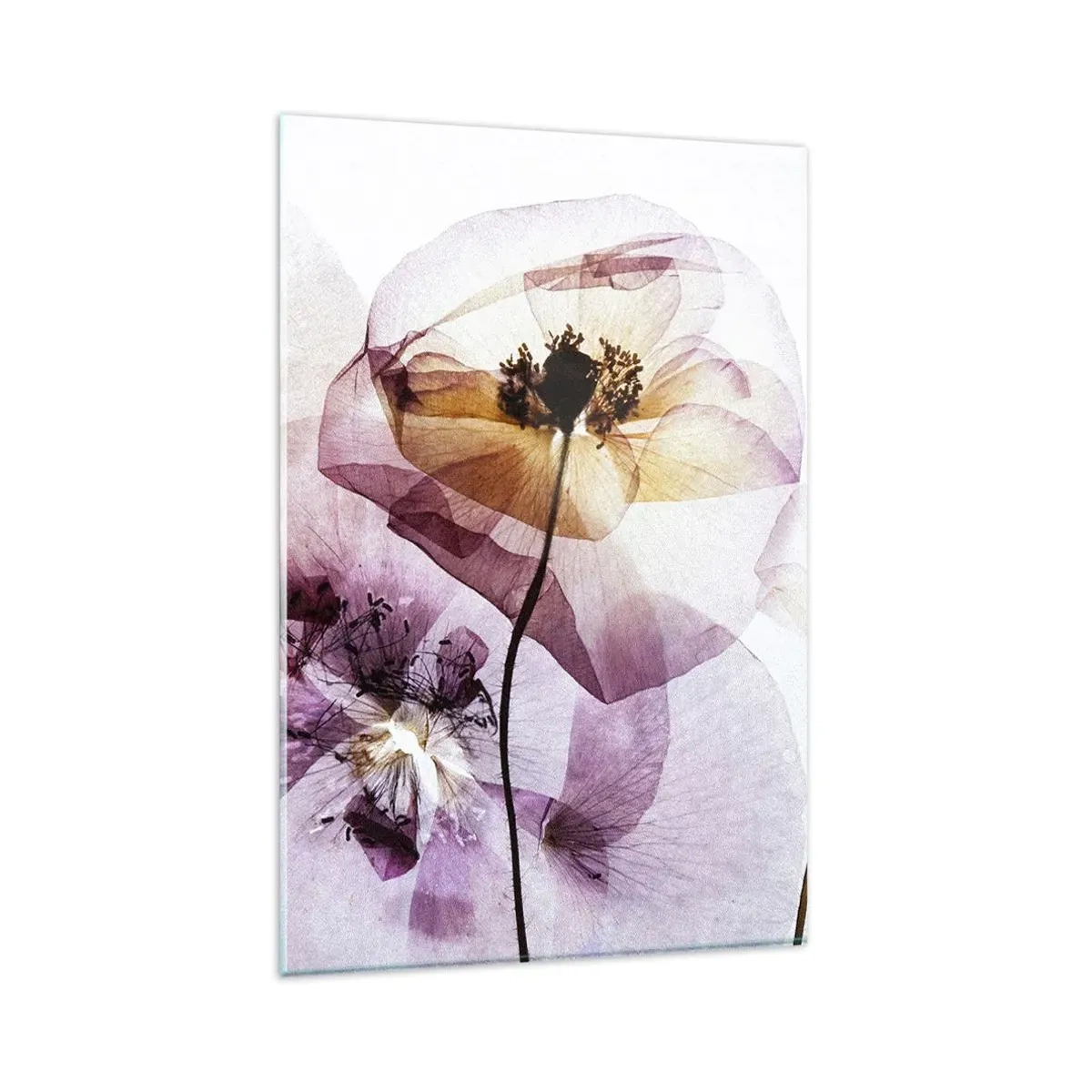 Cuadro sobre vidrio - Impresiones sobre Vidrio - Delicadas flores transparentes en tonos pastel. - 80x120cm - Cuerpo de flor - Decoración de pared moderna para salón y dormitorio ARTTOR