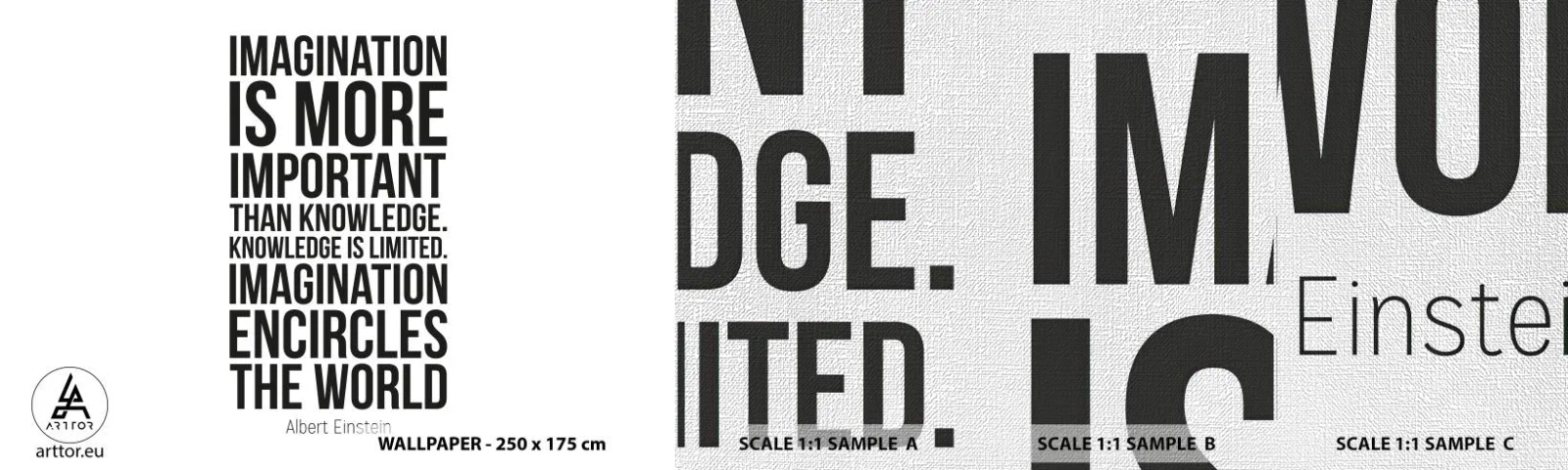 Muestra de fotomural Premium Canvas - Einstein, sobre el poder de la imaginación - Tipografía, Afirmación, Máxima - 100x30 cm