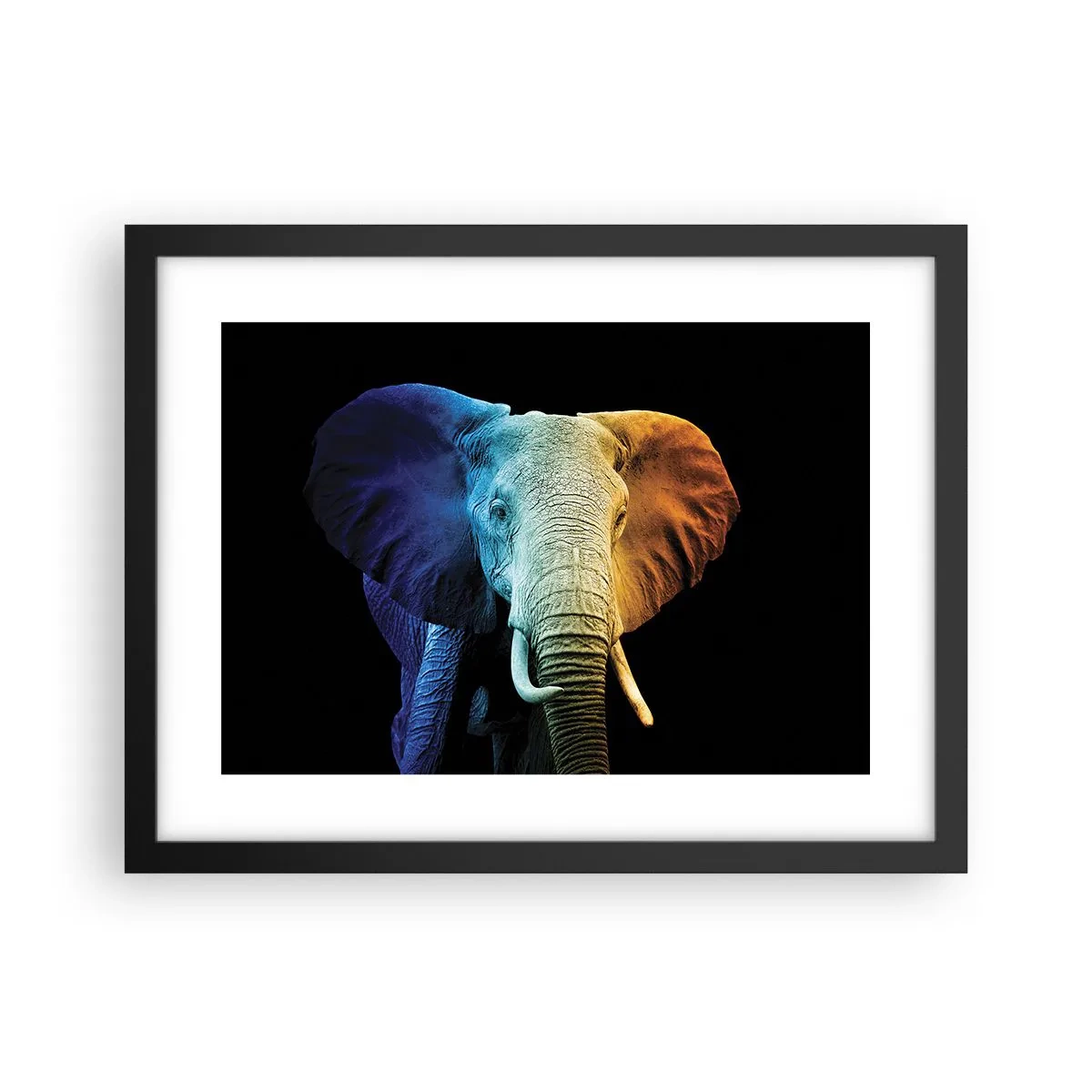 Póster en marco negro - Excéntrico, no un bicho raro - 40x30 cm