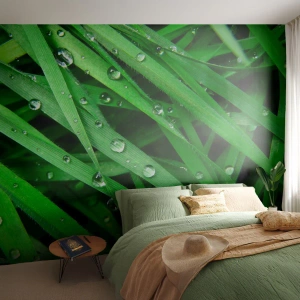 Fotomural Autadhesivo Deluxe Sticker - Jugar al verde - Naturaleza, Césped verde, Jardín - 450x315 cm