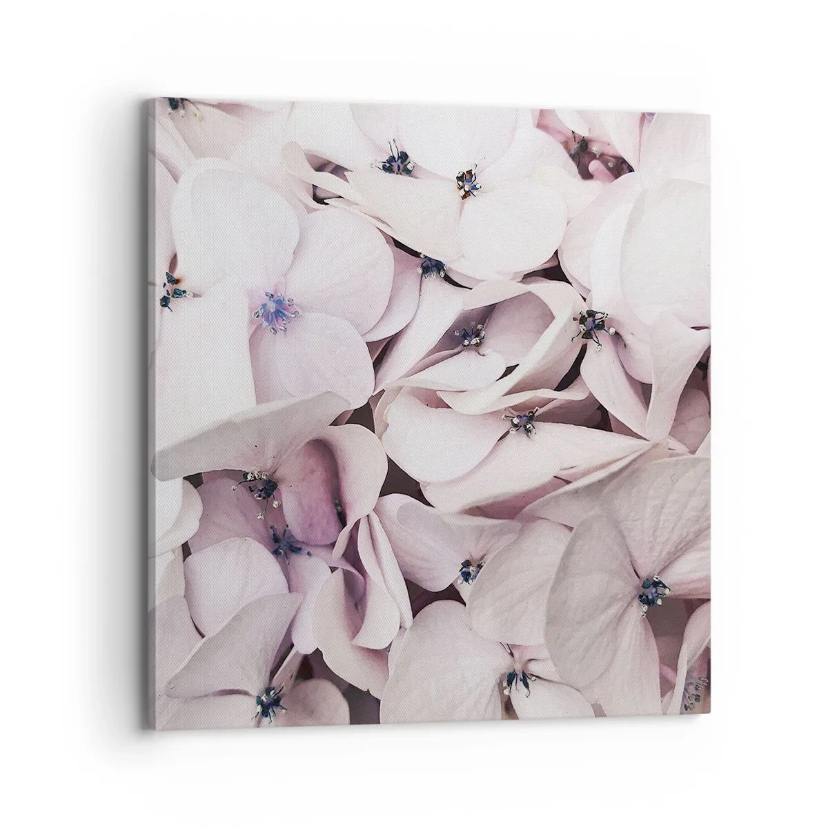 Cuadro sobre lienzo - Impresión de Imagen - En un torrente de flores - 70x70 cm