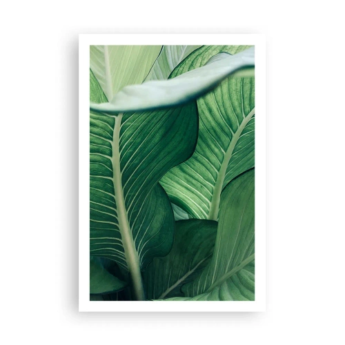 Póster - Vida intensamente verde - 61x91 cm