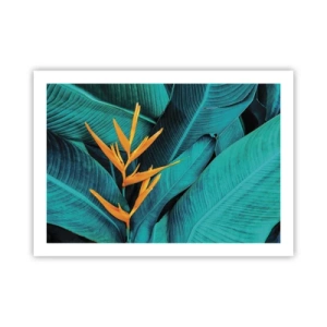 Póster - Flor del Edén - 70x50 cm