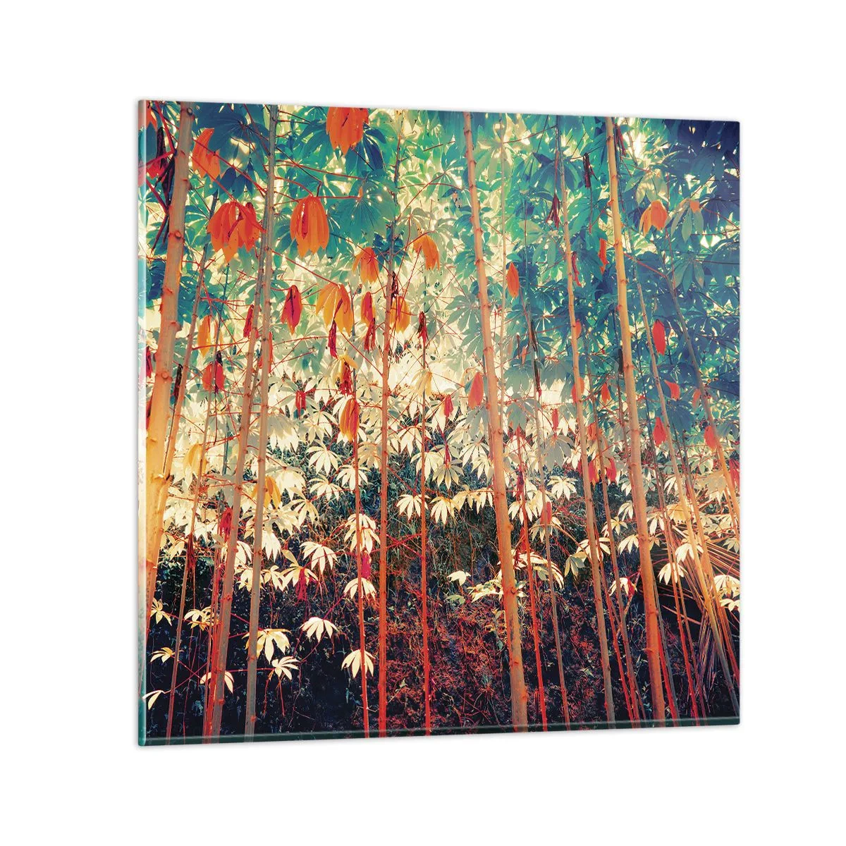 Cuadro sobre vidrio - Impresiones sobre Vidrio - La vida secreta de las hojas - 30x30 cm