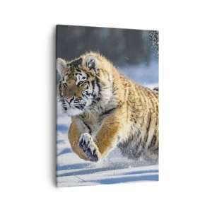 Cuadro sobre lienzo - Impresión de Imagen - Un tigre siberiano corriendo en un paisaje nevado. - 50x70cm - Dios de la taiga siberiana - Decoración de pared moderna para salón y dormitorio ARTTOR