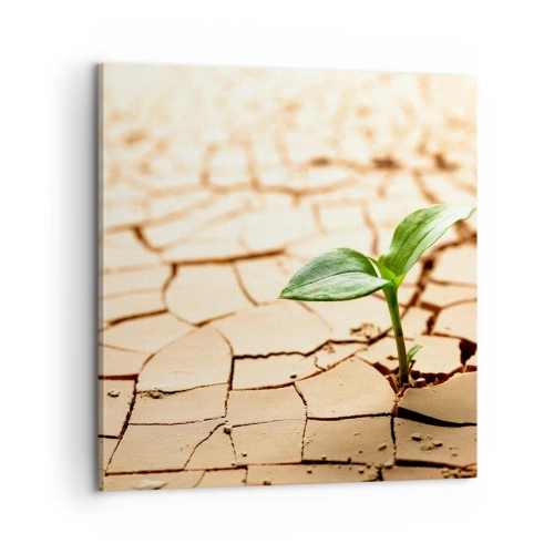 Cuadro sobre lienzo - Impresión de Imagen - El poder indomable de la vida - 60x60 cm