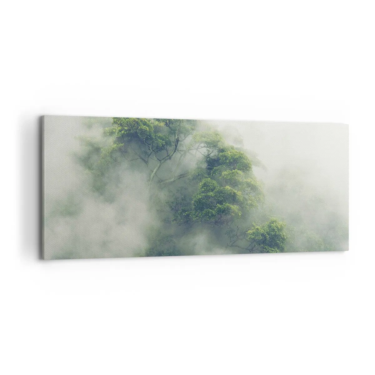 Cuadro sobre lienzo - Impresión de Imagen - Árboles verdes en una espesa niebla contra un fondo natural - 120x50cm - Envuelto en niebla - Decoración de pared moderna para salón y dormitorio ARTTOR
