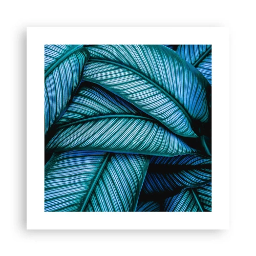 Póster - Líneas de vida - 40x40 cm