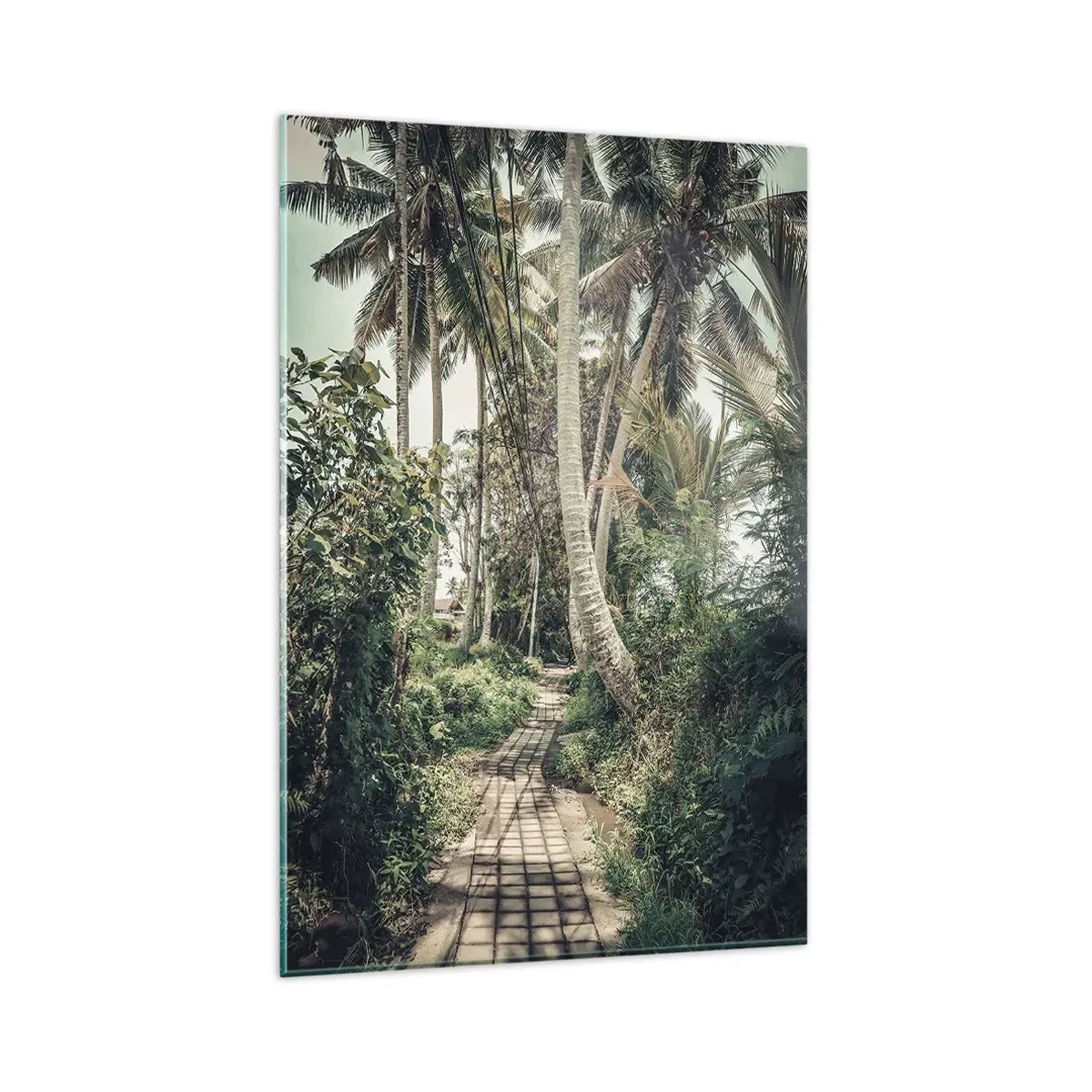 Cuadro sobre vidrio - Impresiones sobre Vidrio - Avenida de palmeras - 80x120 cm