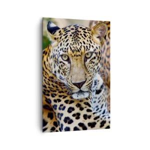 Cuadro sobre lienzo - Impresión de Imagen - Jaguar descansando en un entorno natural con fondo verde. - 80x120cm - Salvaje y tranquilo - Decoración de pared moderna para salón y dormitorio ARTTOR