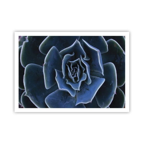 Póster - Primer plano de una roseta suculenta verde - 100x70cm - Flor del desierto - Decoración de pared moderna para salón y dormitorio ARTTOR