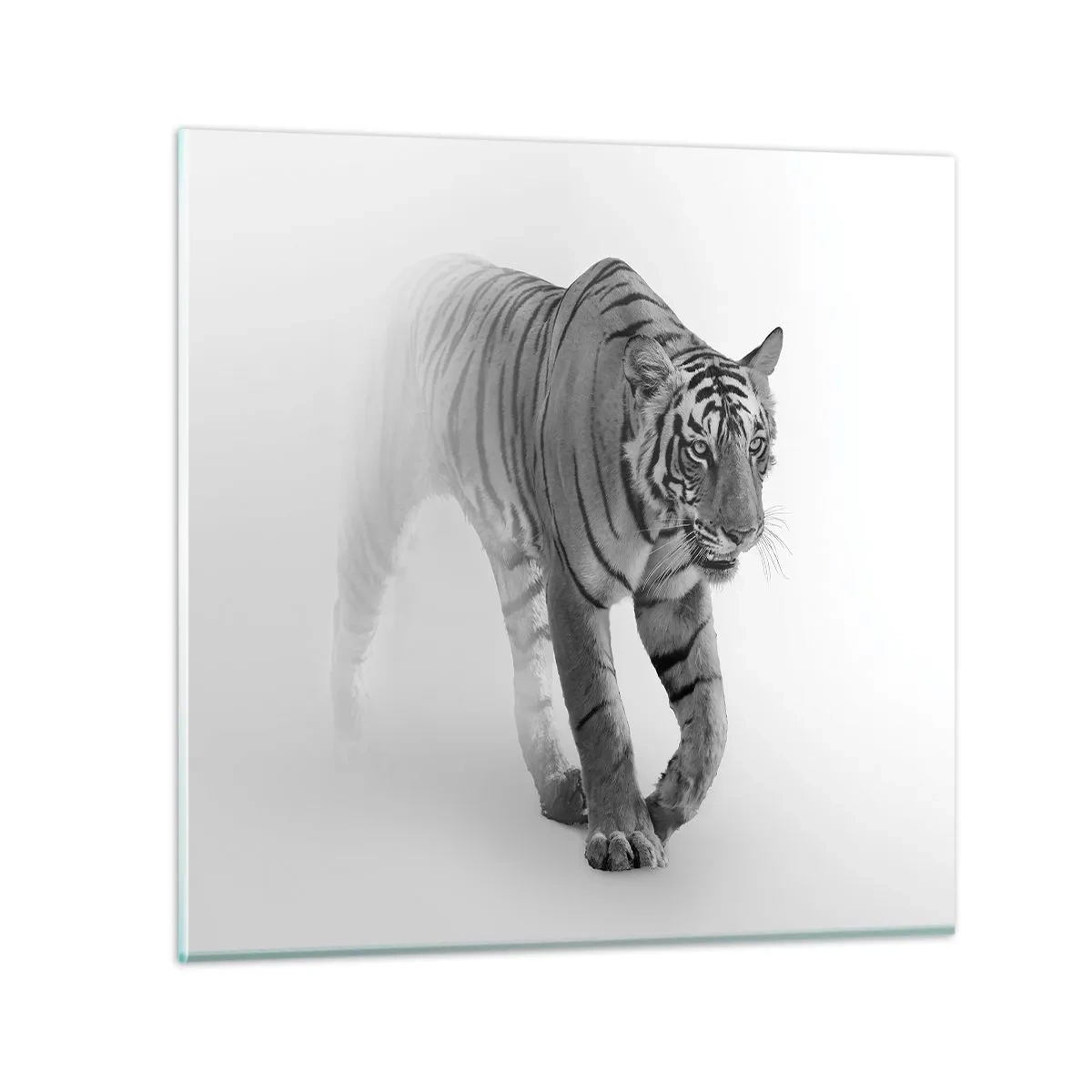 Cuadro sobre vidrio - Impresiones sobre Vidrio - Siempre alerta entre la niebla - 40x40 cm