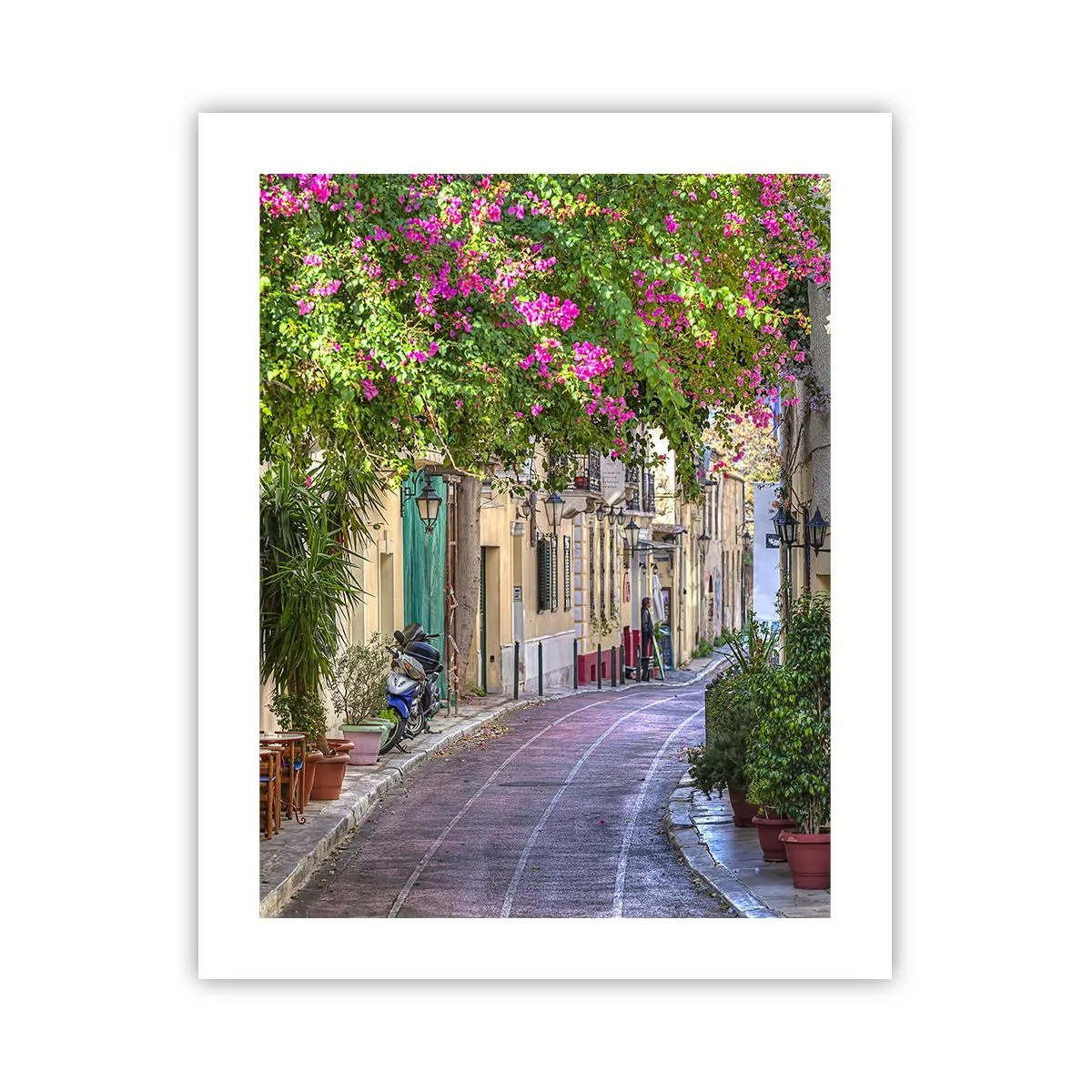 Póster - Un callejón floreciente - 40x50 cm