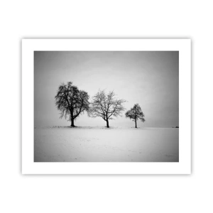 Póster - ¿Con qué sueñan? - 50x40 cm