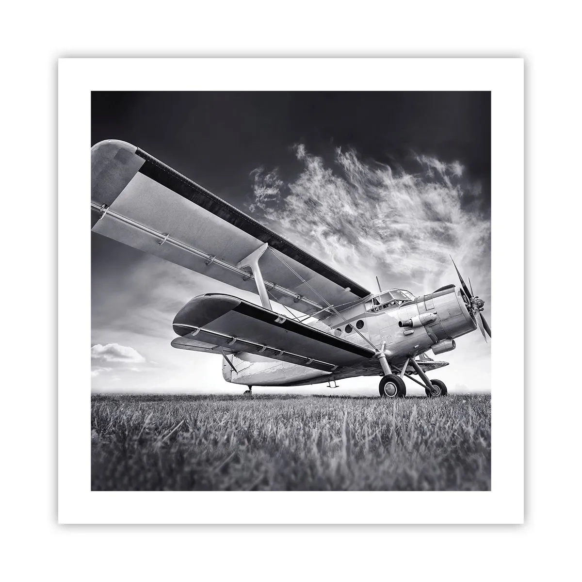 Póster - El vagamundo alado - 50x50 cm